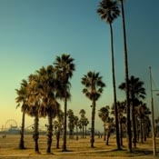 Landing in L.A.