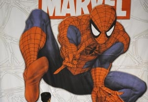 'Spider-Man' Halts Production, But Will Still Open