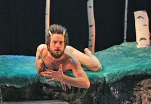 Diagnosis of a Faun