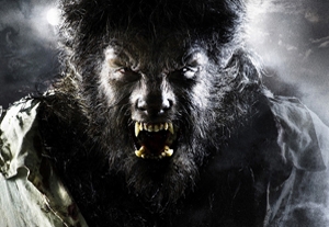 The Wolfman