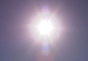 How to Survive a Heatwave
