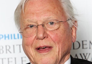 David Attenborough to Receive Top IBC Honor