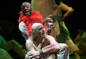 Twelfth Night, or What You Will