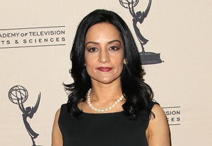 Archie Panjabi Heats Up CBS Drama 'The Good Wife'