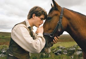 Old War Horses, Fresh Ponies Face Off for Oscars