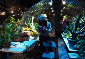 Botanica