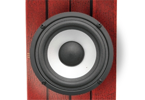 Spotlight on Voiceover