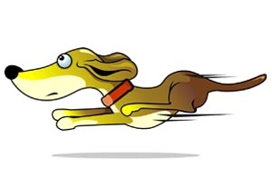 Animation Production Companies