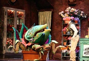 Little Shop of Horrors