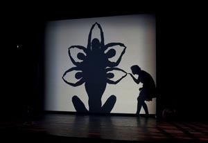 Pilobolus