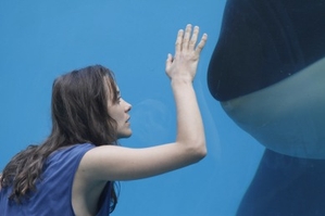 Love and Pain in the South of France in 'Rust and Bone'