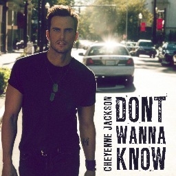 Cheyenne Jackson Employs a Full Chorus of B'way Hunks for New Video
