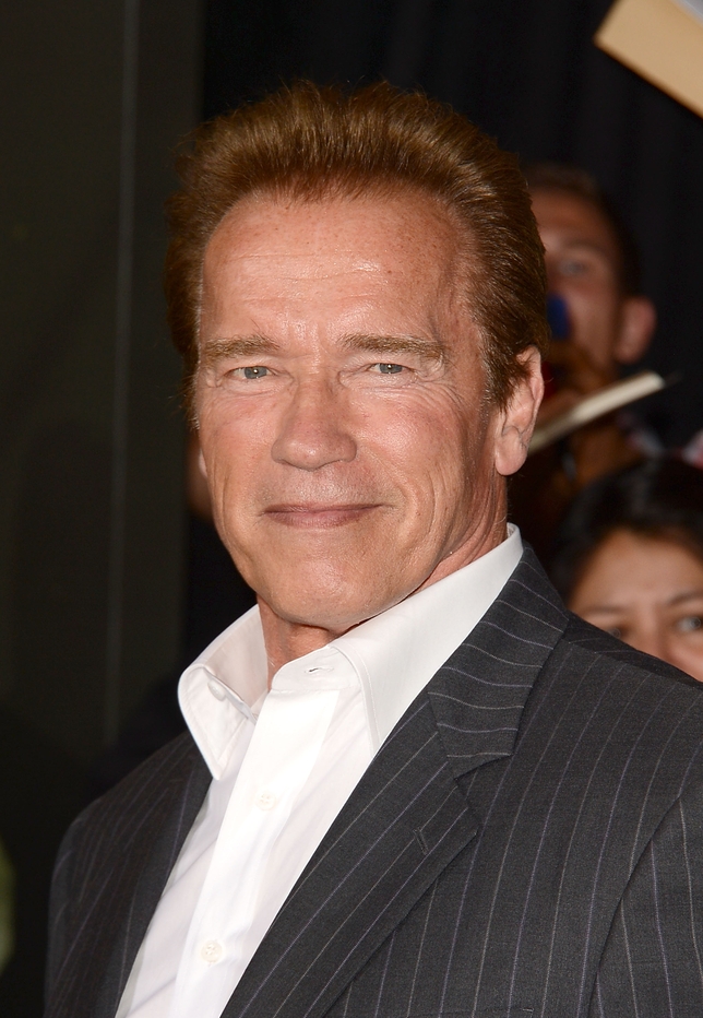 New Movies from Arnold Schwarzenegger, Ice Cube Get Casting