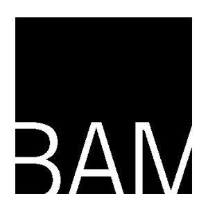 BAM Names New Director of BAMcinématek