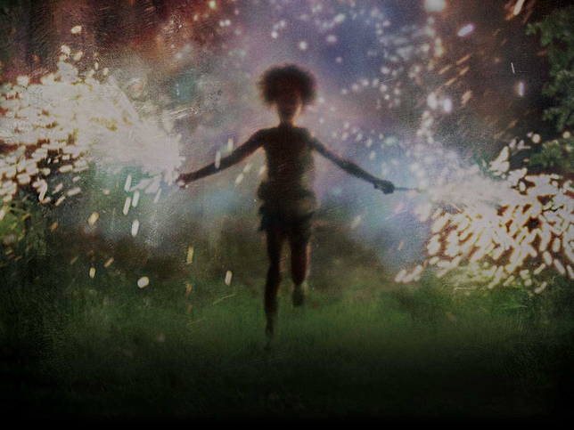'Beasts of the Southern Wild' Won't Qualify for SAG Awards