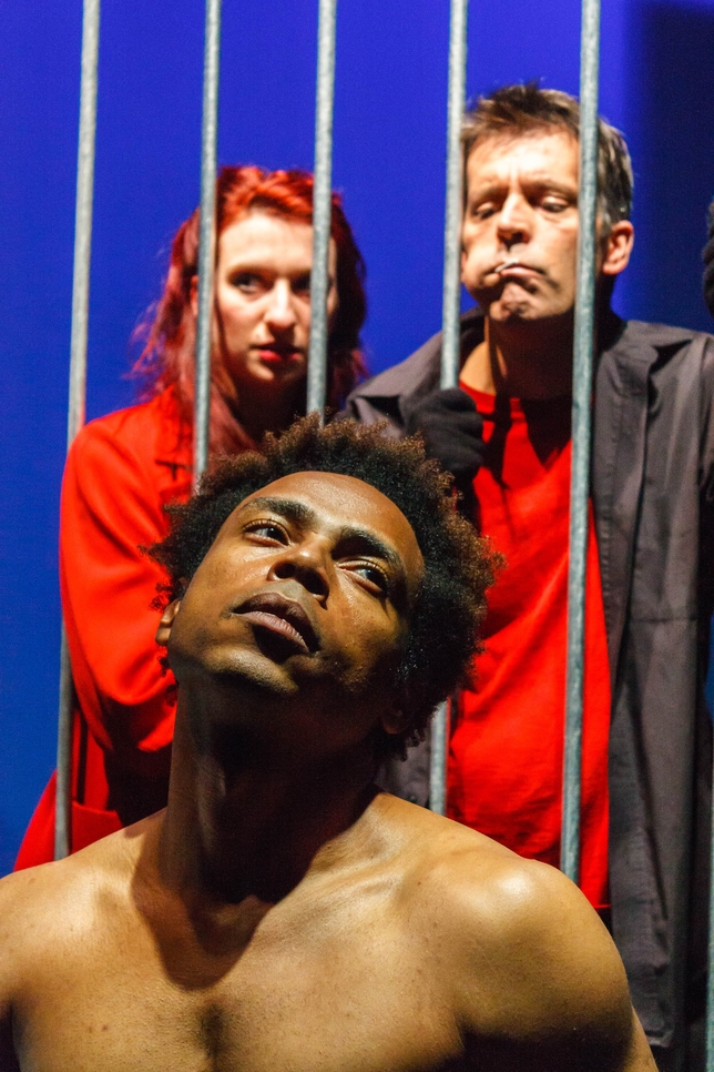 'Caged' Reveals Much About the World We Live In