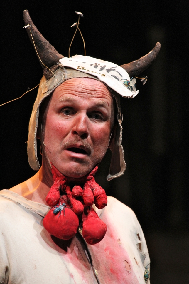 'I, Malvolio' Mixes Cool Sophistication and Youthful Warmth
