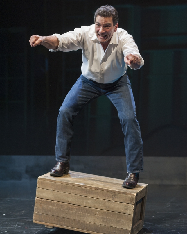 Splendid 'In Acting Shakespeare' Recounts an Actor's Journey