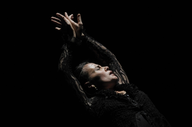 Soledad Barrio and Noche Flamenca Bring the Best of Flamenco to The Joyce