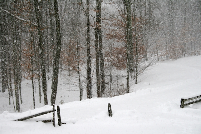 19 Lessons For Self-Reflection on a Snow Day