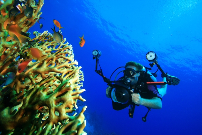 Under the Sea: Tips for Shooting in Water