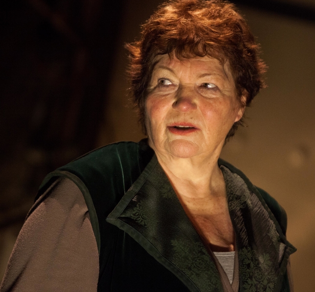 'Women of Will' Offers a Female Perspective on Shakespeare