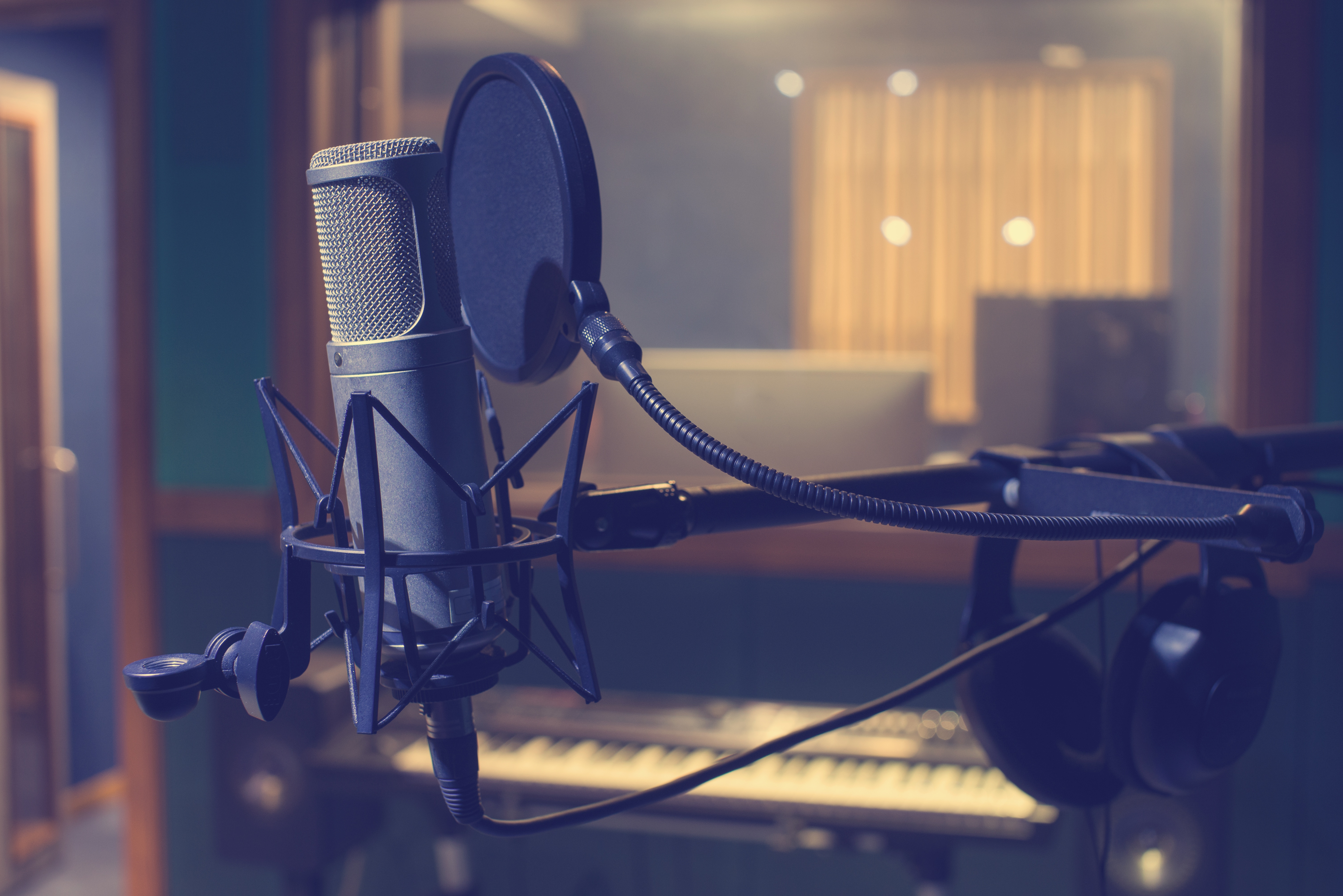 8 Elements That Make You a Top-Notch VO Professional According to a Casting  Director